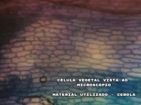 /album/aula-patica-sobre-osmose-2%c2%ba-anos/a6-jpg1/