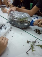 /album/experimento%3a-terrario-como-mini-ecossistema-investigando-e-experimentando-1%c2%ba-anos/img-20190327-wa0006-jpg1/