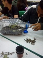 /album/experimento%3a-terrario-como-mini-ecossistema-investigando-e-experimentando-1%c2%ba-anos/img-20190327-wa0010-jpg1/